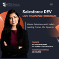 Salesforce Development Training program